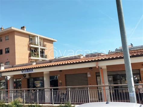 ponte galeria brico